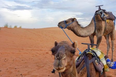 4 Days from Marrakech to Merzouga desert tour